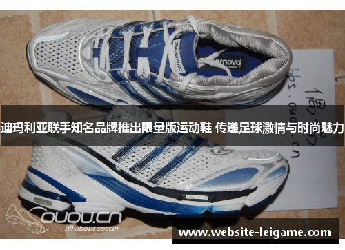 迪玛利亚联手知名品牌推出限量版运动鞋 传递足球激情与时尚魅力 迪玛利亚联手知名品牌推出限量版运动鞋 传递足球激情与时尚魅力